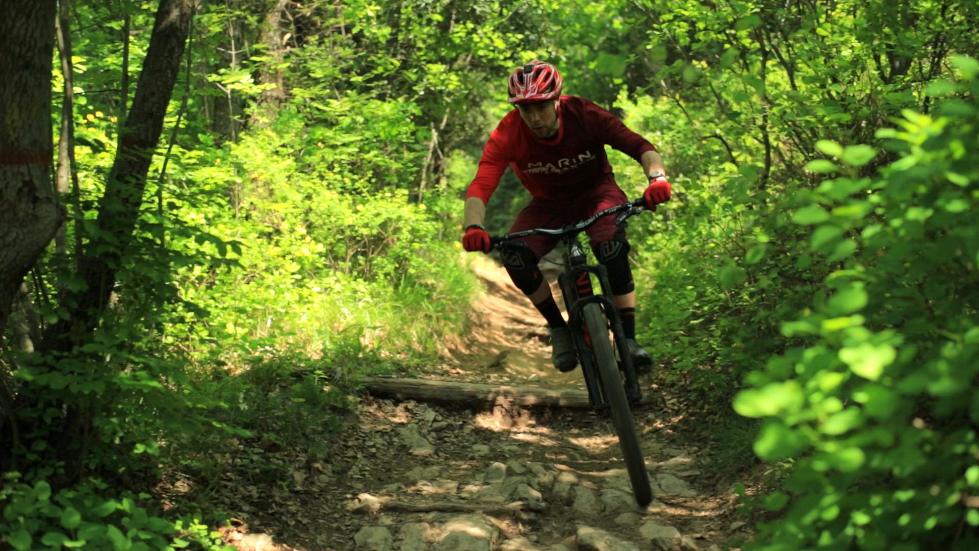 marinwolfridge_nikkiwhiles_01