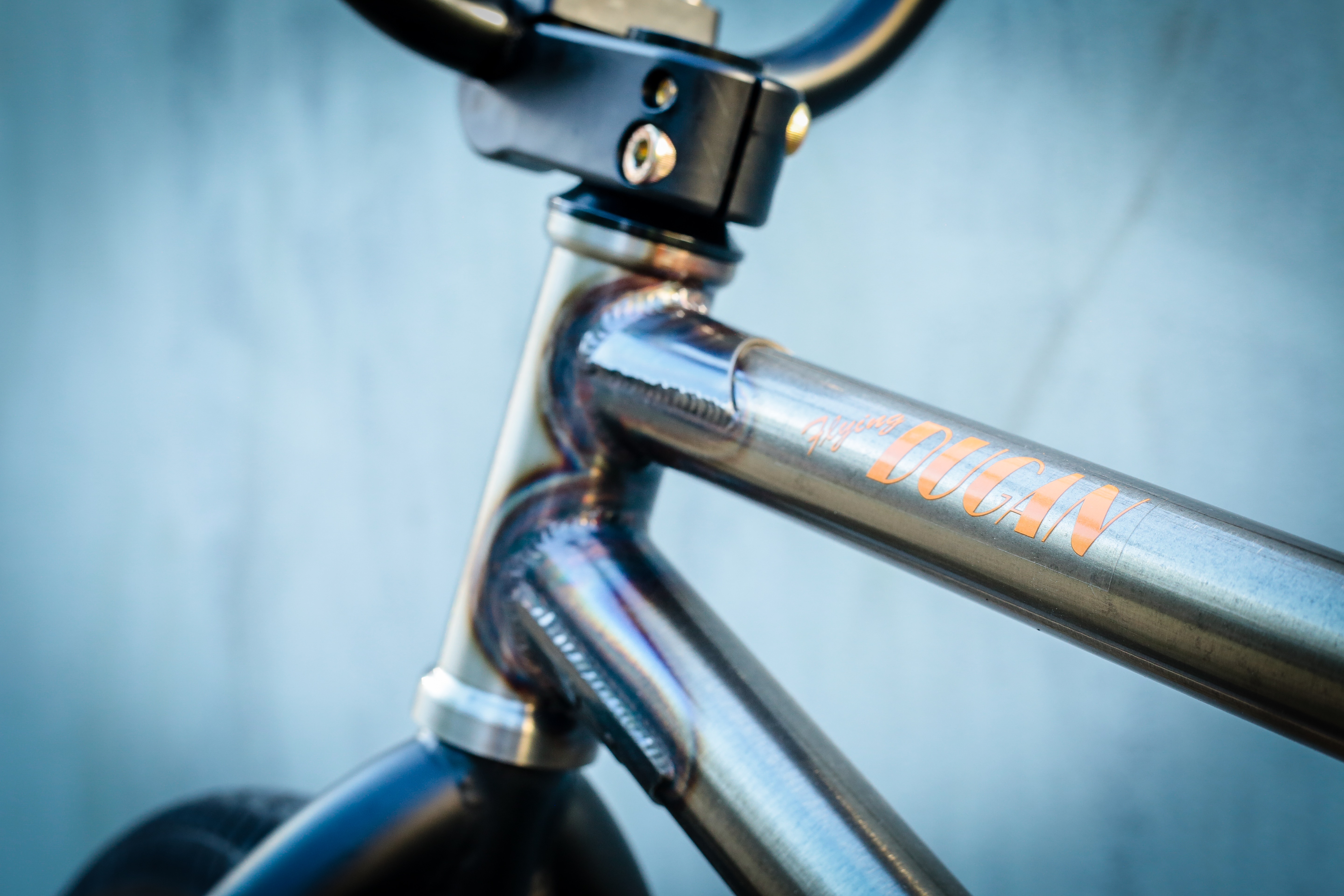 Fitbikeco. Tom Dugan Rahmen