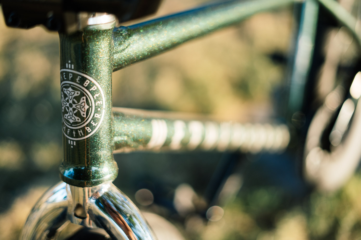 Felix Prangenberg Pathfinder Signaturerahmen im 2019 Sunburst Green Colorway