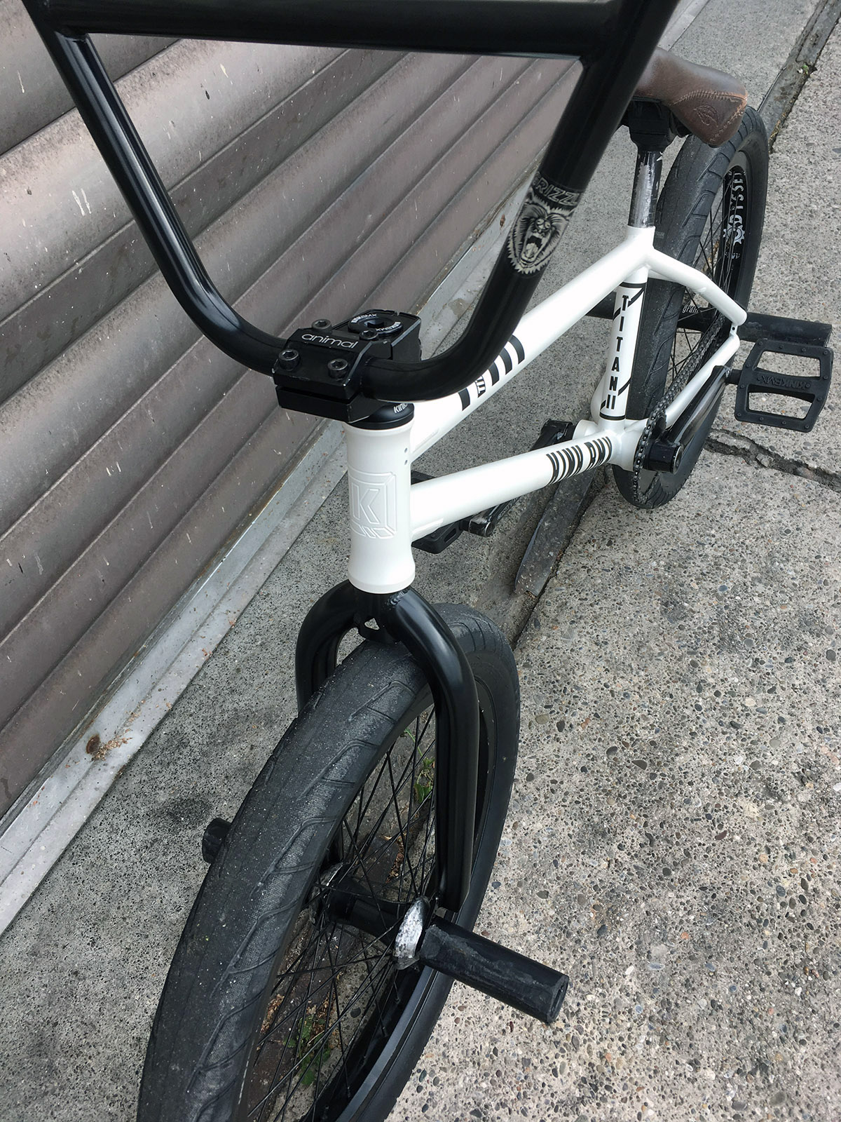 Dennis Möller Kink BMX Bikecheck