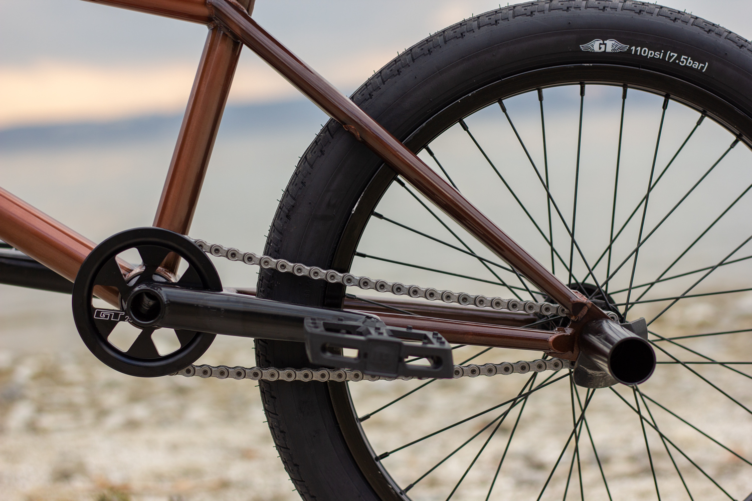 GT BMX Kurbel und Kettenblatt mit Sprocket Guard