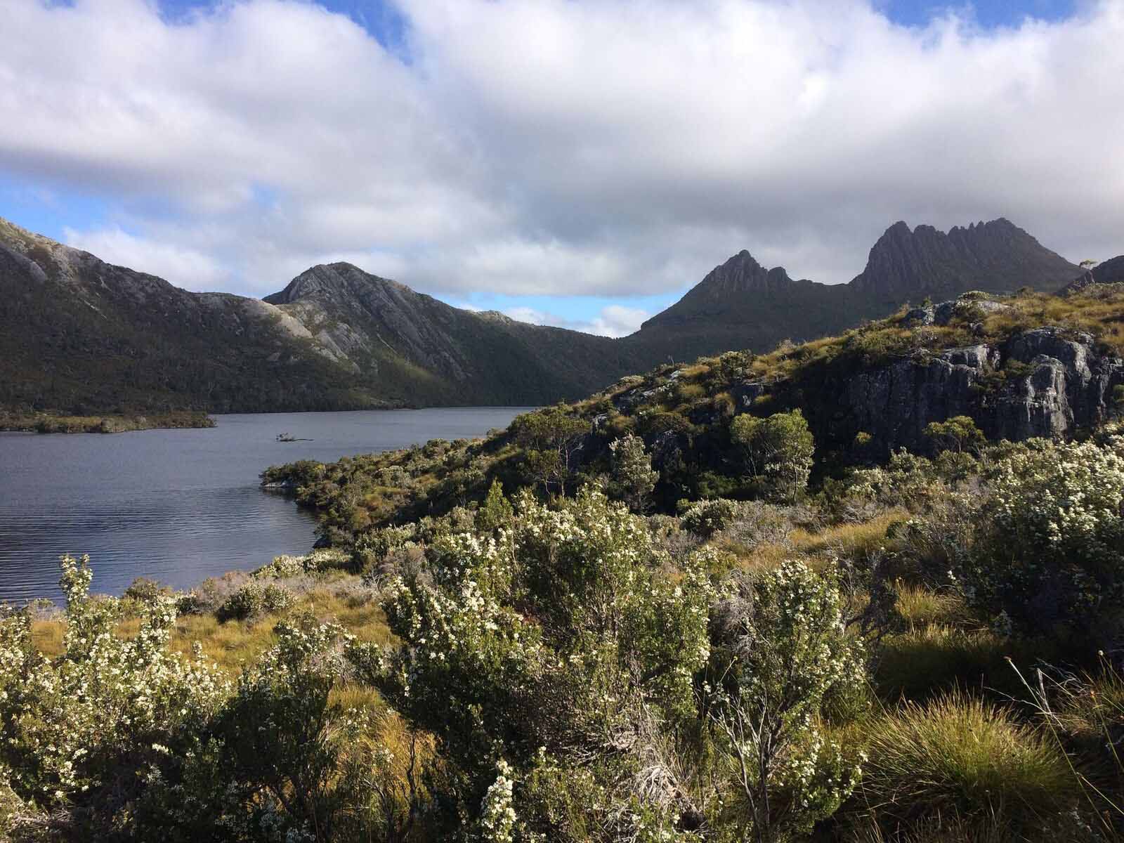 Auf dem Weg zum Cradle Mountain.