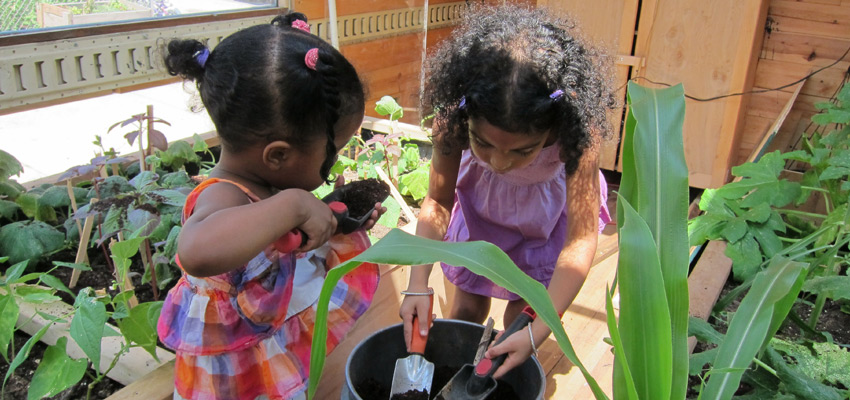 kids-planting