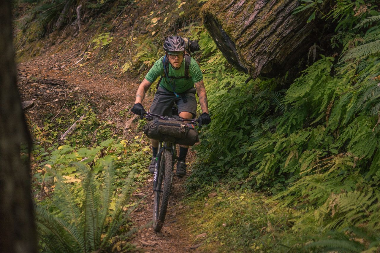 Der Oregon Timber Trail führt durch die beeindruckenden Landschaften des Bundesstaates – Credit: Gabe Amadeus