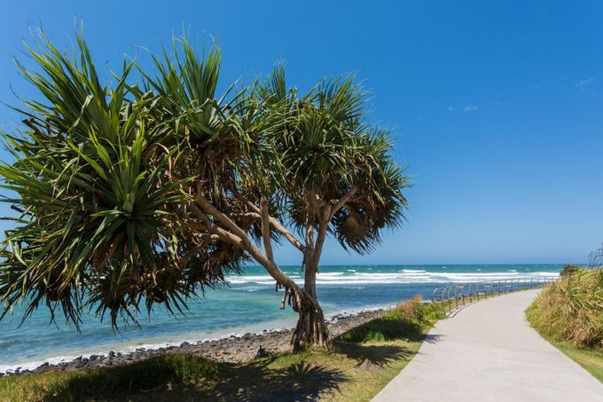 Foto: iStock/Lennox Head