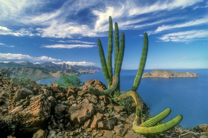 Foto: iStock/Baja