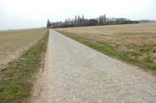 Cobbles, Carrefour de l’Arbre, Paris-Roubaix 2013, pic: ©Sirotti