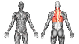 upper-back-neck cycling injury