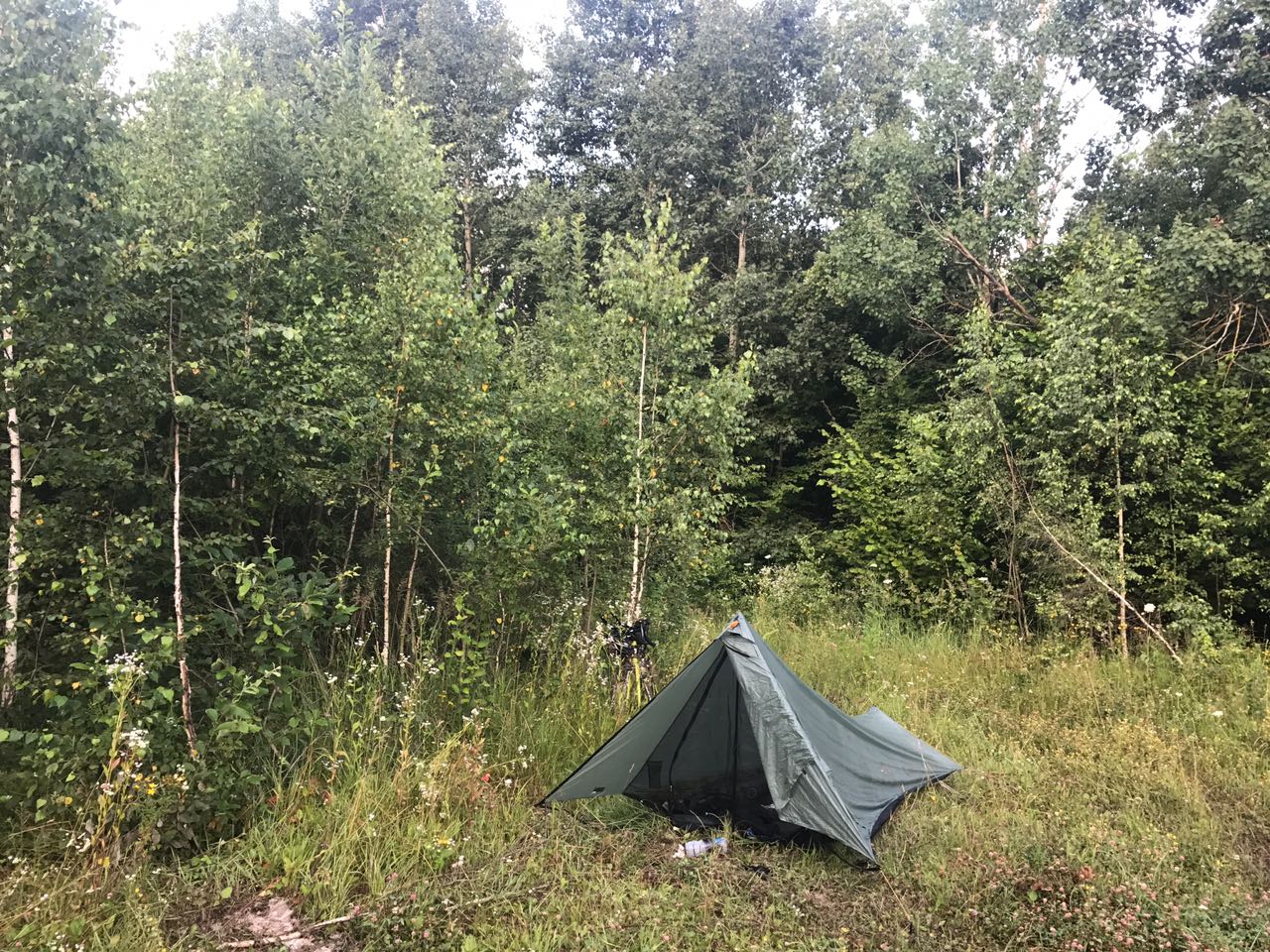 Waldlichtungen wie diese eignen sich hervorragend für das Nachtlager.