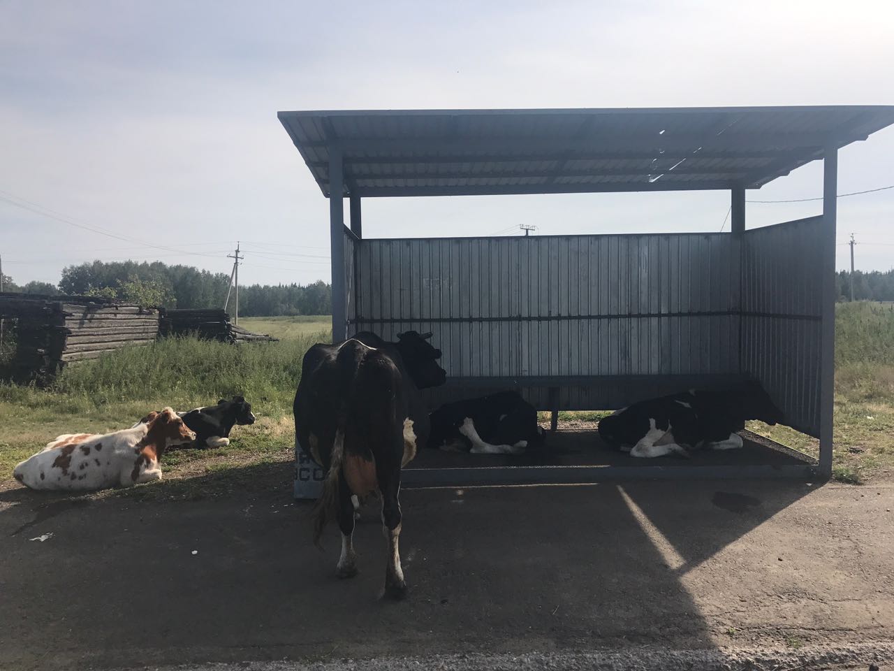 eurasia-challenge-jonas-deichmann-update-11-rcde-20