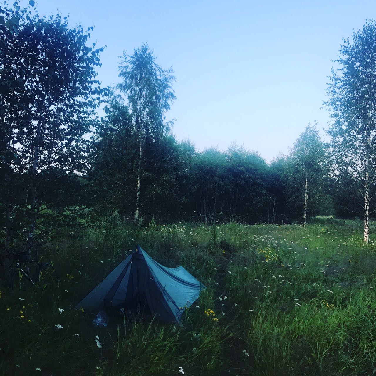 Märchenhafte Lichtungen laden zum Übernachten ein.