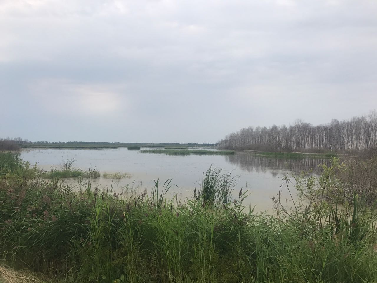 eurasia-challenge-jonas-deichmann-update-9-rcde-4