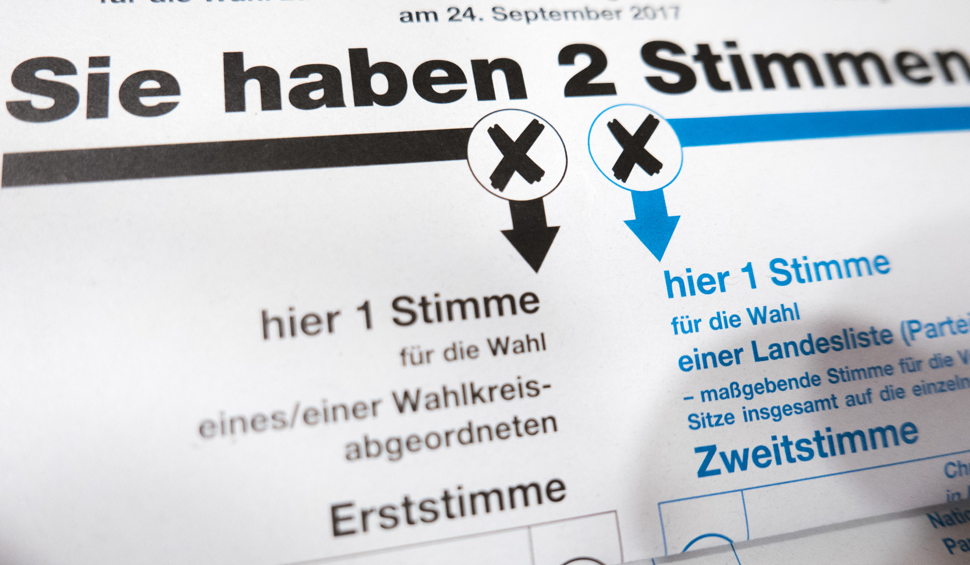 Wem gilt eure Stimme bei der Bundestagswahl 2017?