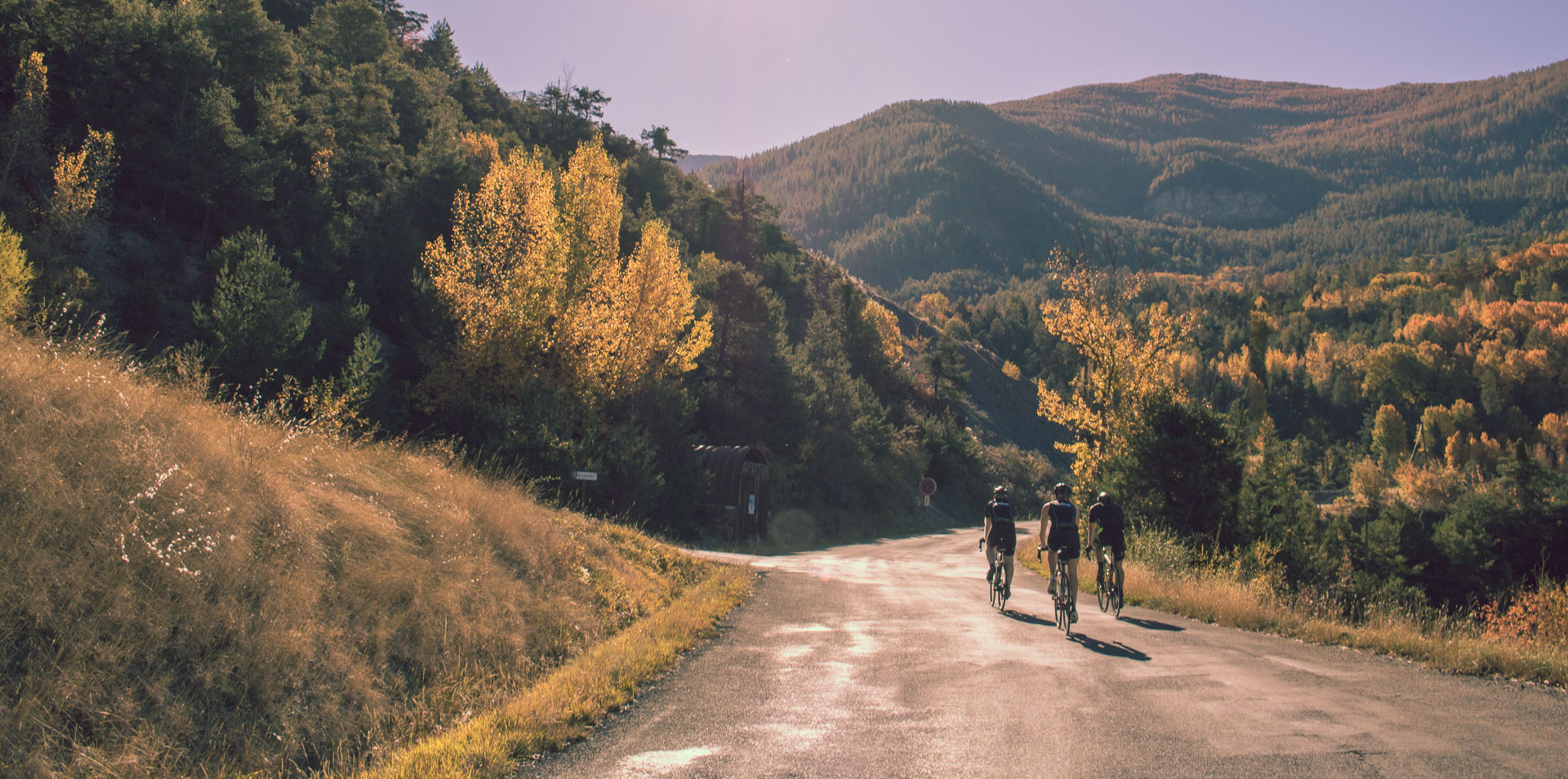 Foto: Arian Schlichenmayer