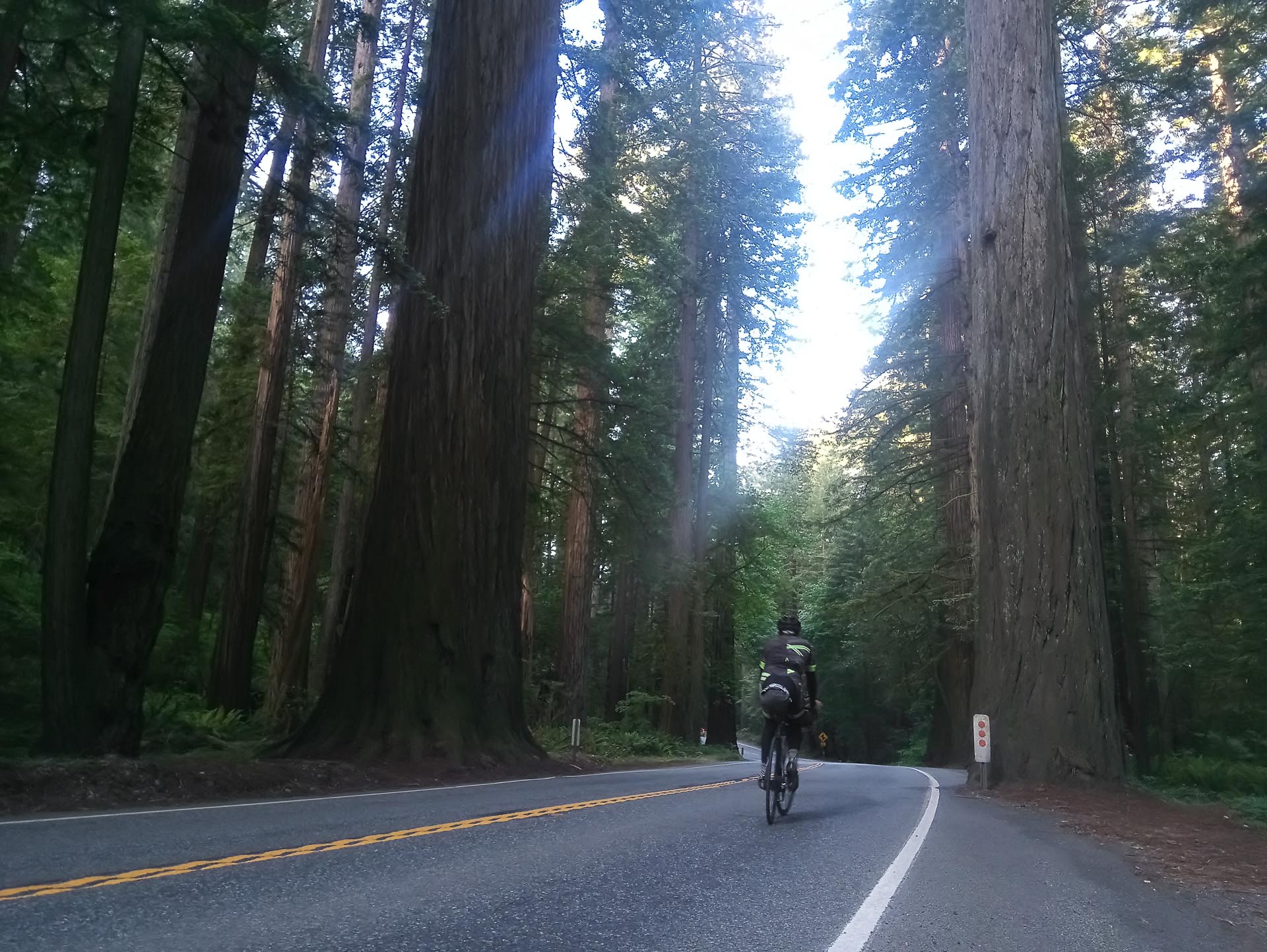 panericana-solo-jonas-deichmann-oregon-rcde-10