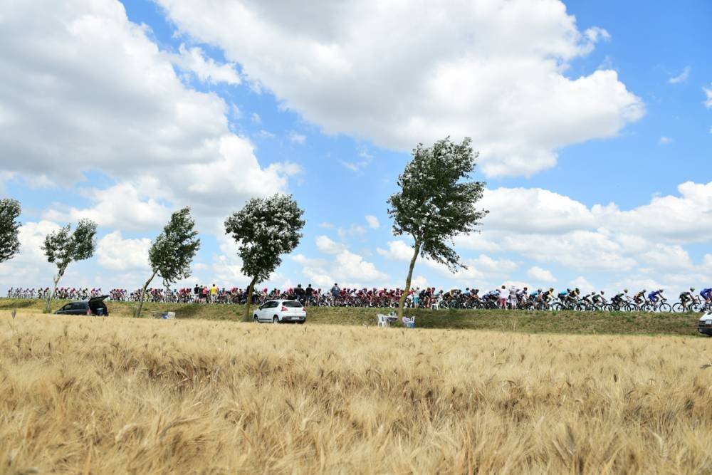 Die 105. Tour de France hat begonnen, das Peloton rollt. (Foto:)
