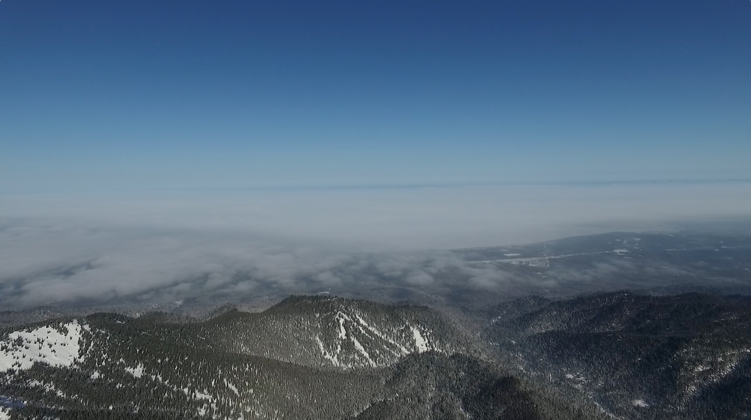 2-screen-shot-2018-11-08-at-09-46-01