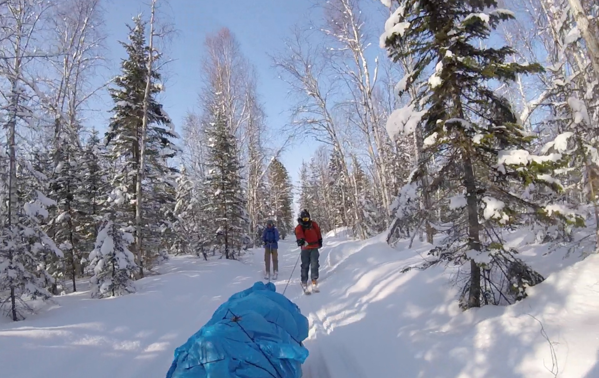 4-screen-shot-2018-11-08-at-09-49-46