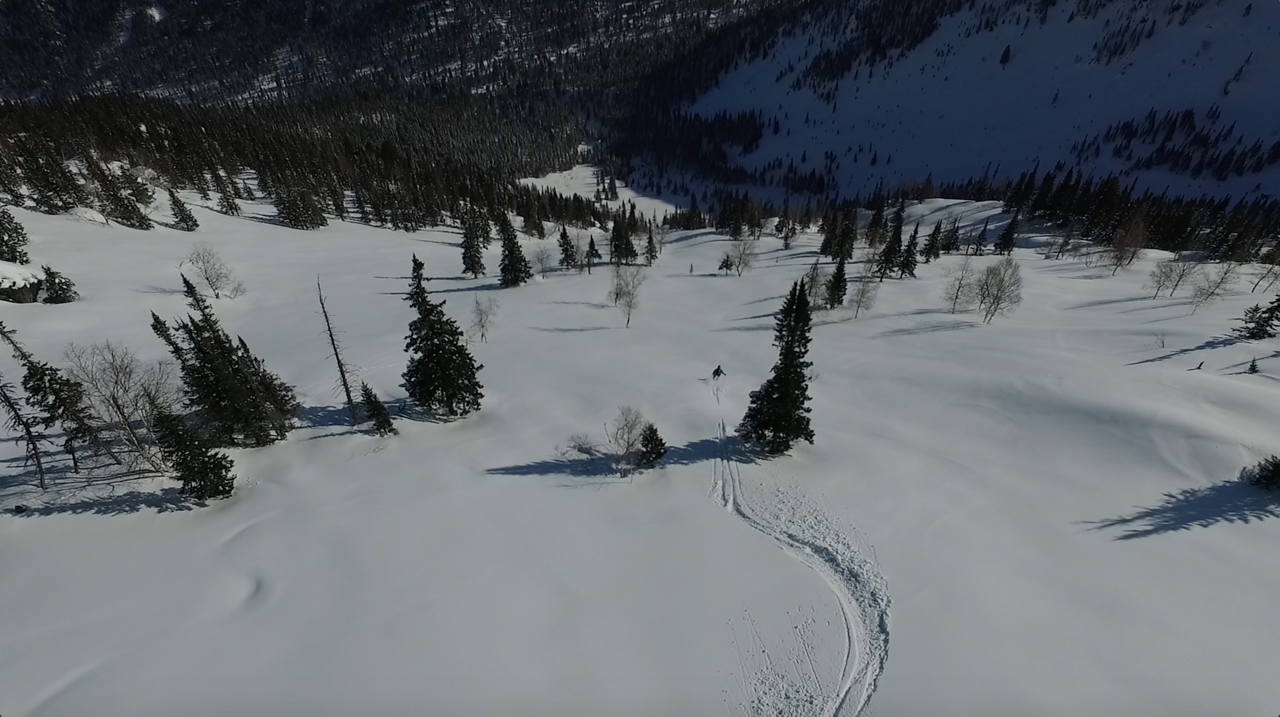 8-screen-shot-2018-11-08-at-11-01-27