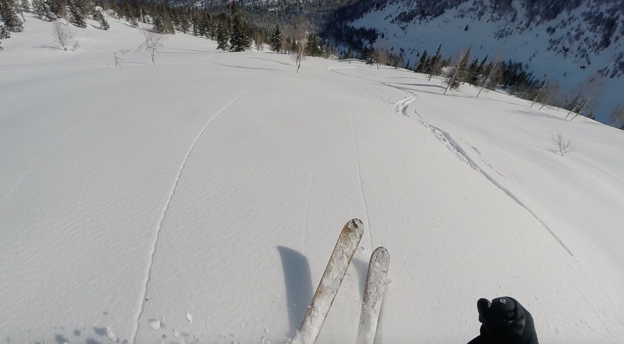 9-screen-shot-2018-11-08-at-11-03-44