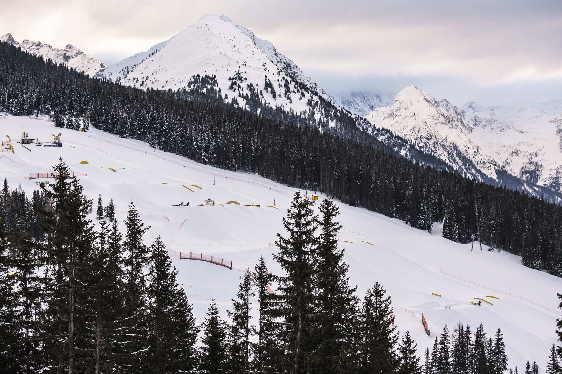 credit: Roland Haschka