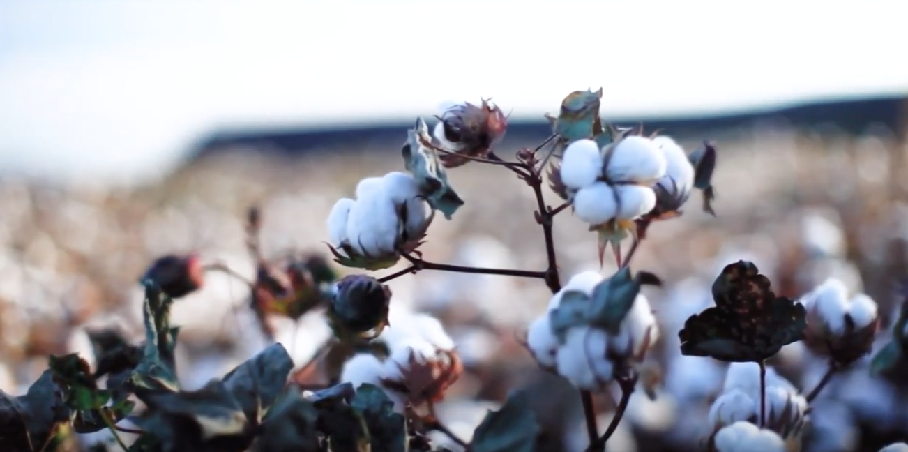 bildschirmfoto-2018-12-14-um-12-42-24