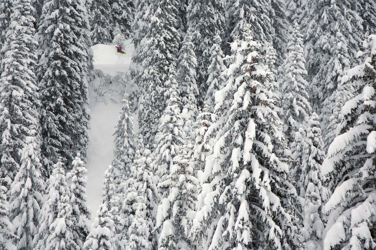 In diesen Bäumen will man eher nicht verloren gehen. Sebi Geiger shreddet in seiner Hood, Silvretta Montafon. Foto: Christoph Schöch.