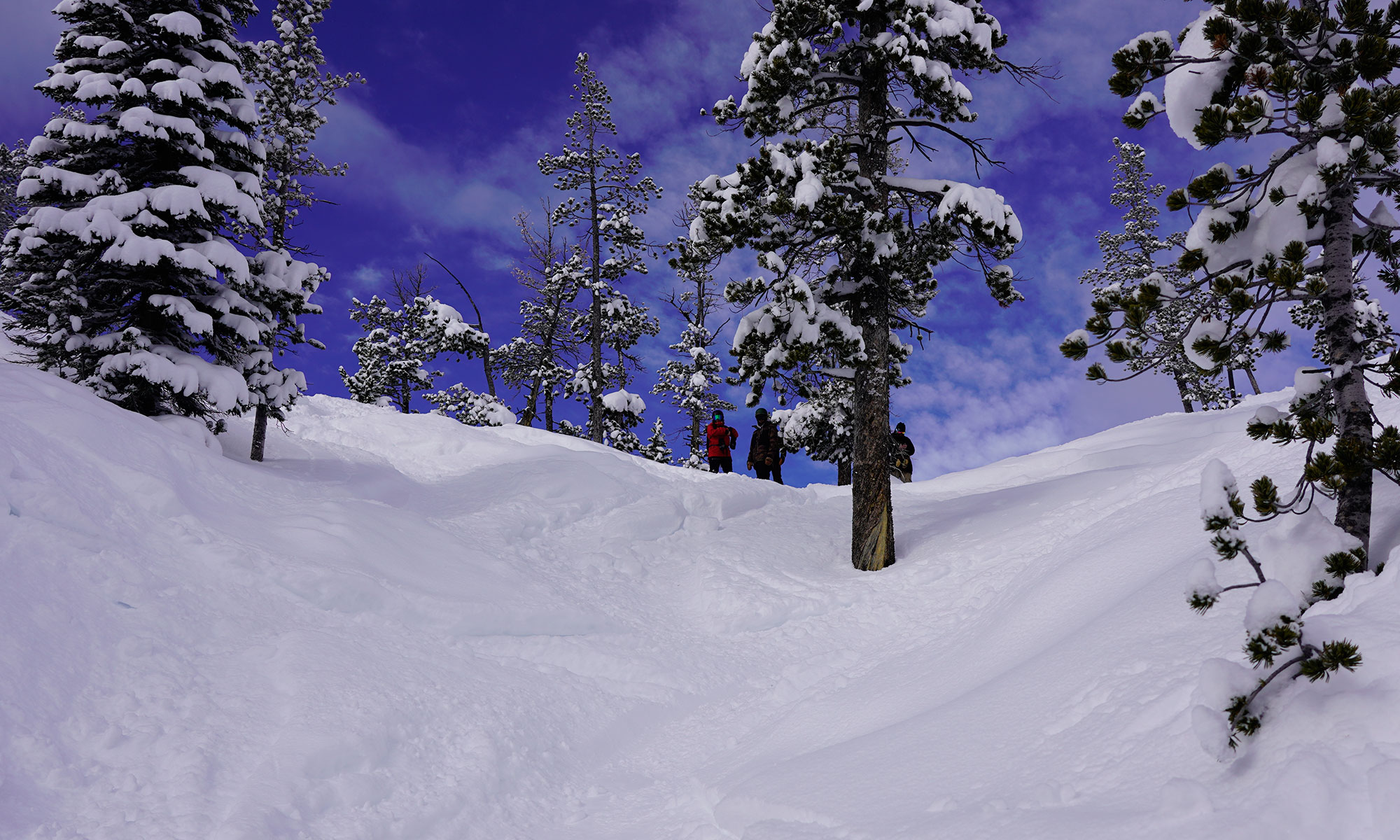 Big Sky, Angelica Sykes