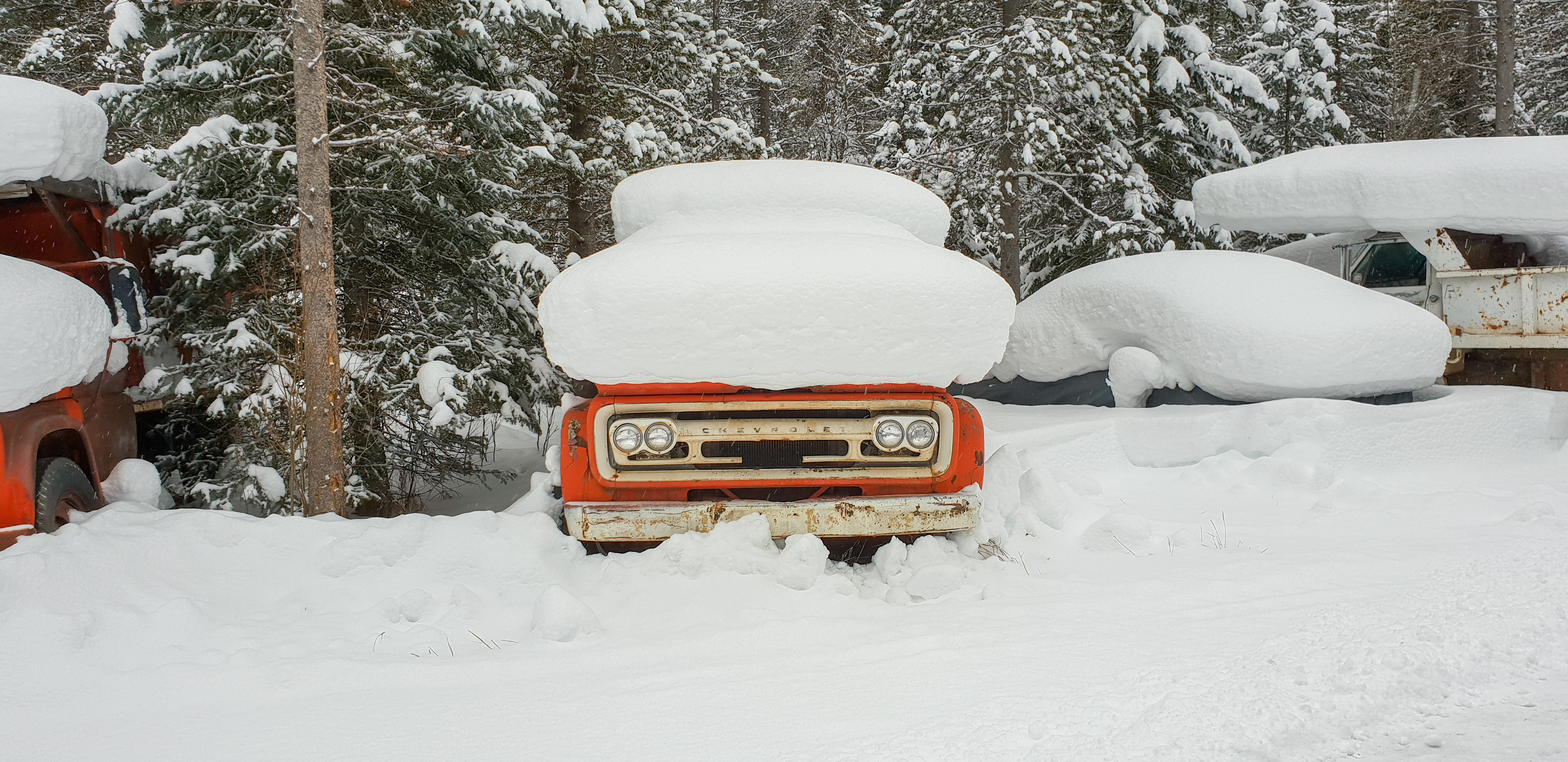 Big Sky, Angelica Sykes