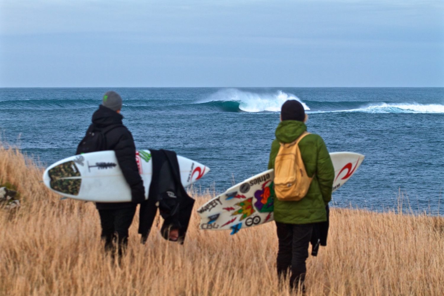 bromleywegrich_iceland_cohen